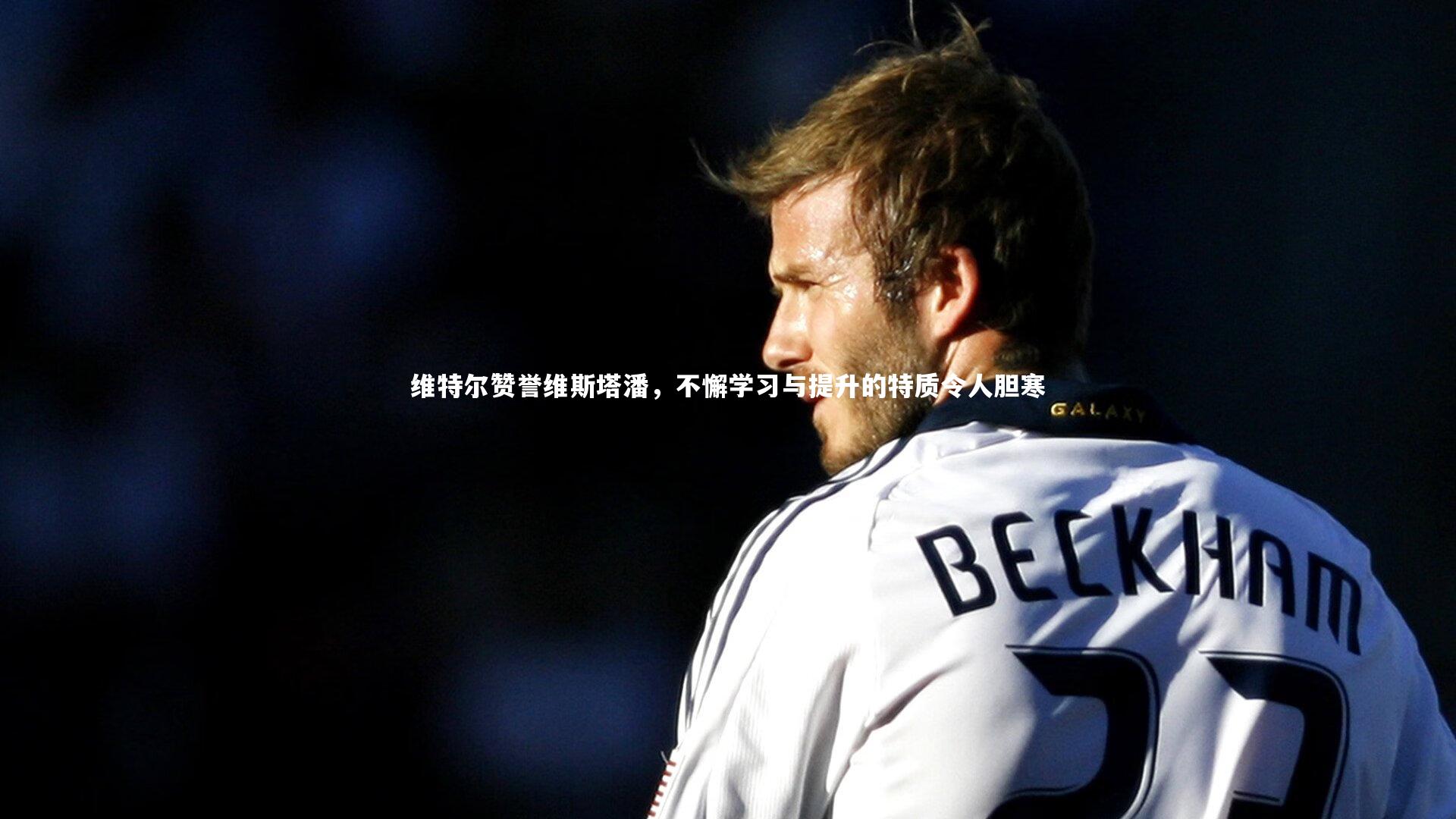 维特尔赞誉维斯塔潘，不懈学习与提升的特质令人胆寒